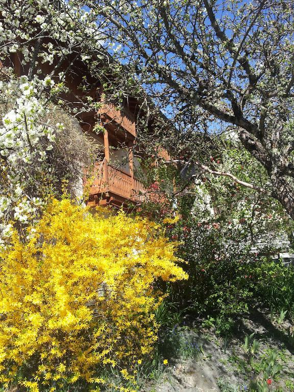 Chalet D'Heidi Bourg-Saint-Maurice Bagian luar foto