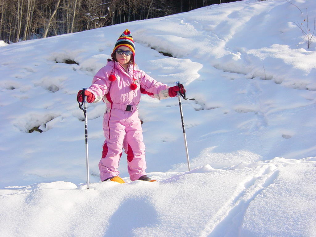 Chalet D'Heidi Bourg-Saint-Maurice Bagian luar foto
